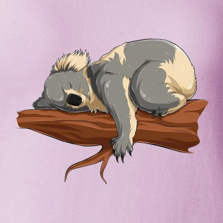 Koala na větvi