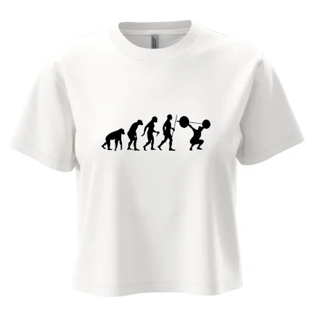 Evolution fitness