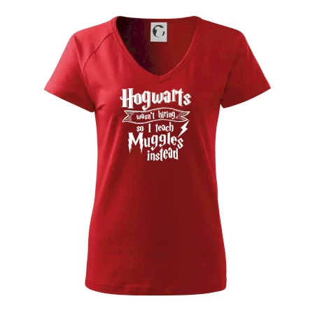 Harry - Hogwarts wasn’t hiring, so I teach Muggles instead