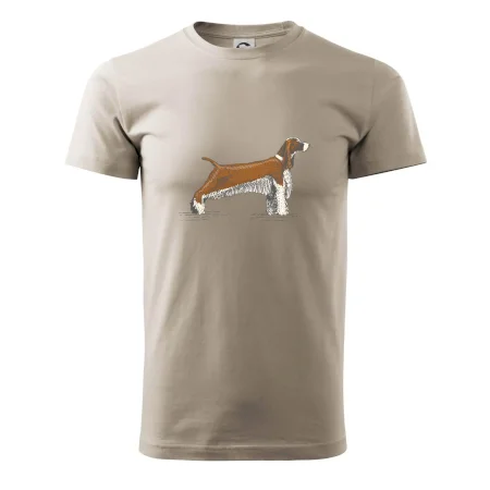 Vintage Springer spaniel