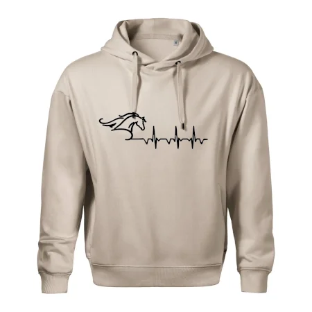 Hlava koně EKG