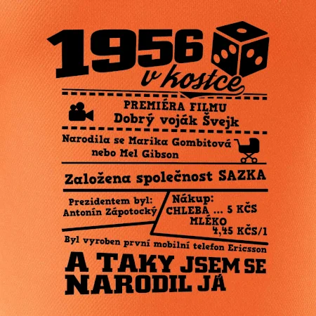 1956 v kostce