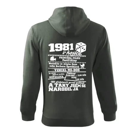 1981 v kostce