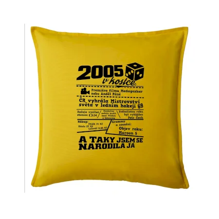 2005 v kostce
