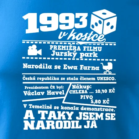 1993 v kostce