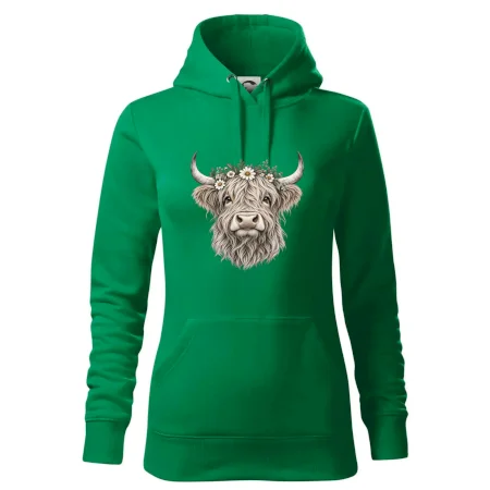 Highlandská kráva s květinami