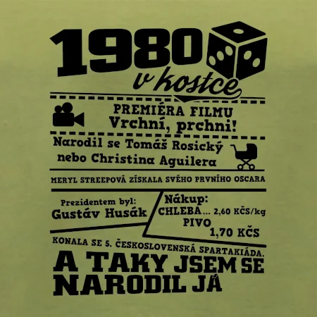 1980 v kostce