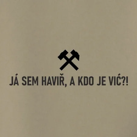 JÁ SEM HAVIŘ, A KDO JE VIĆ?!﻿