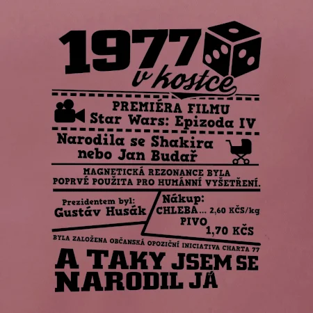 1977 v kostce