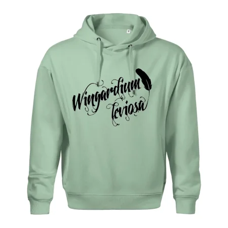 Harry - Wingardium Leviosa