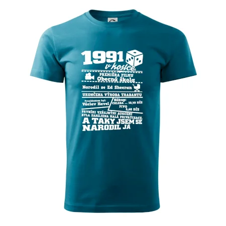 1991 v kostce