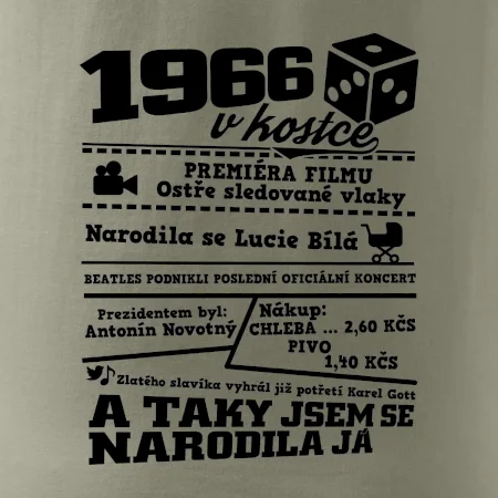 1966 v kostce