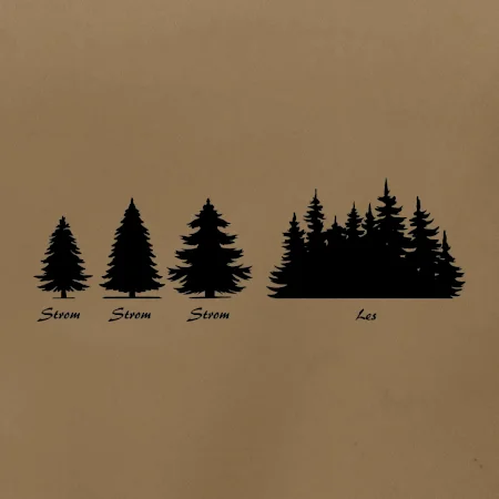 Evoluce lesa