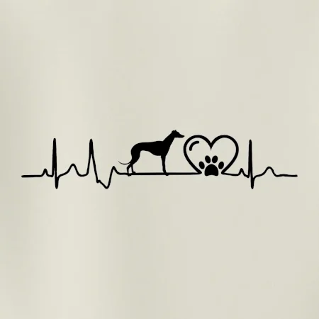 Chrt - Ekg