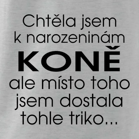 Chtěla jsem dostat k narozeninám koně