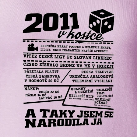 2011 v kostce