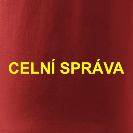 Celní správa