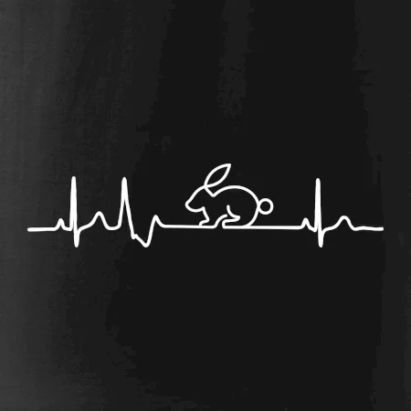 EKG králík