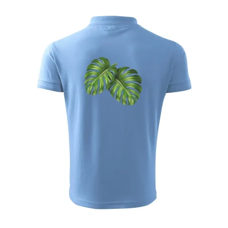 Monstera - dva listy