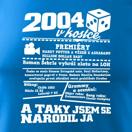 2004 v kostce