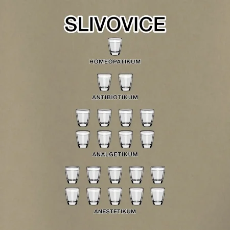 Slivovice počítání (Hana-creative)
