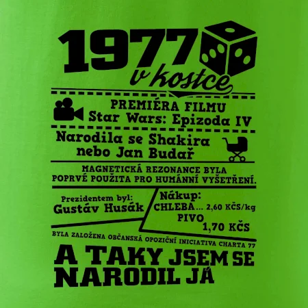 1977 v kostce