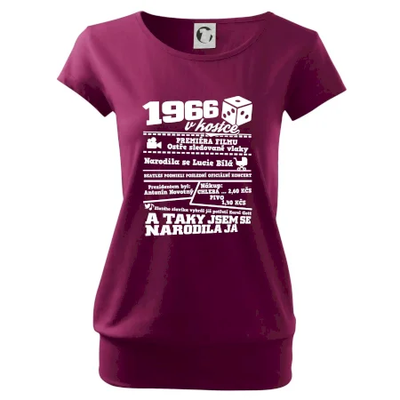 1966 v kostce