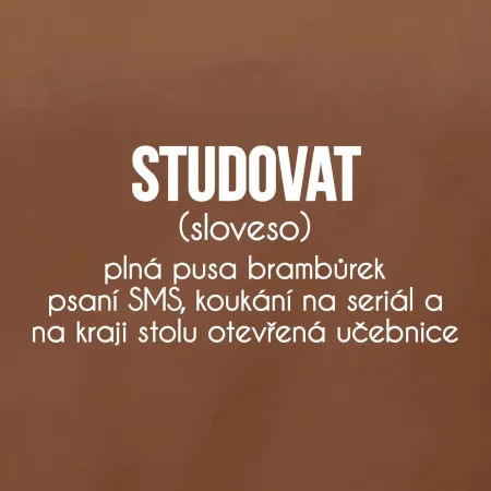 Studovat