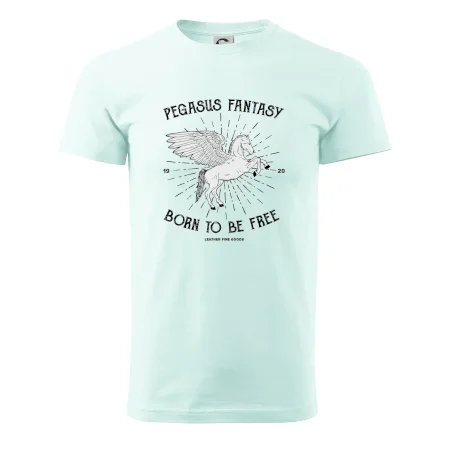 Pegasus fantasy