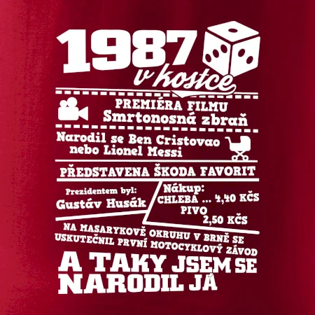 1987 v kostce