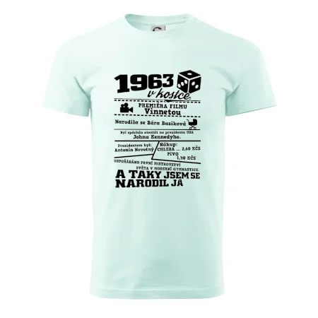 1963 v kostce