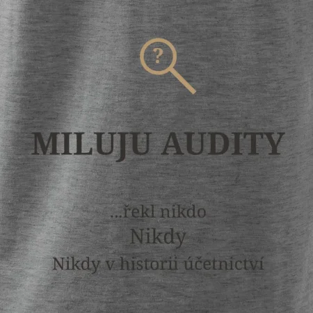 Miluju audity řekl nikdo nikdy