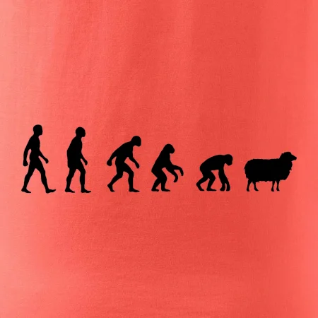 Evoluce ovce