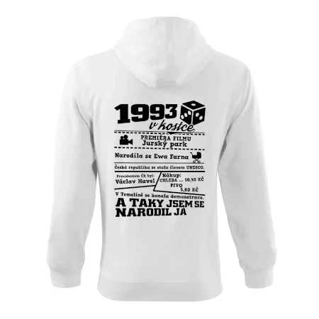1993 v kostce