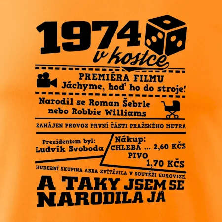 1974 v kostce