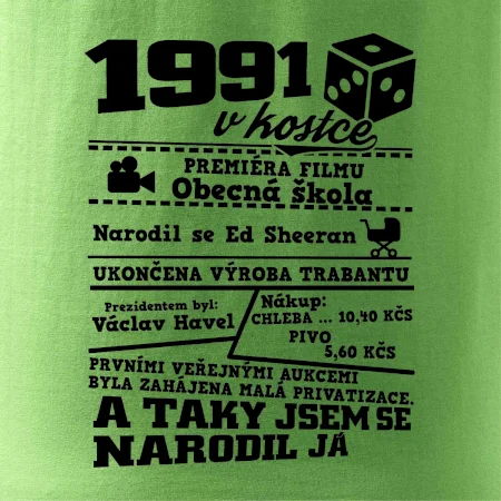 1991 v kostce