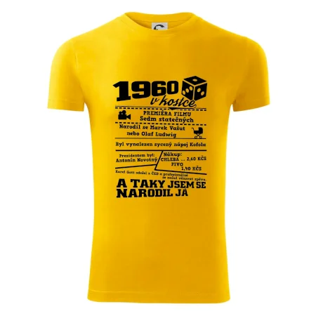 1960 v kostce