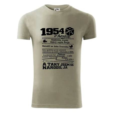1954 v kostce