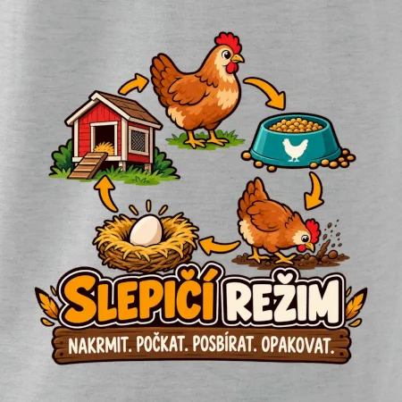 Slepičí režim od krmení po sběr vajec