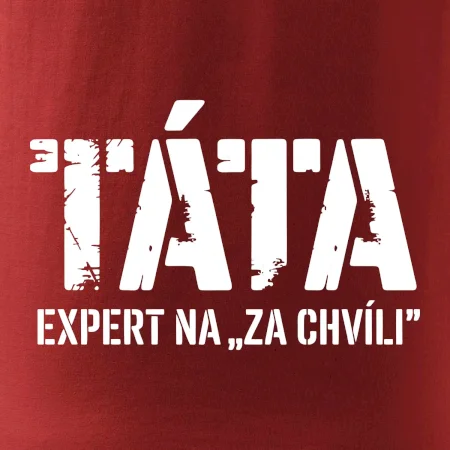 Táta - expert na za chvíli