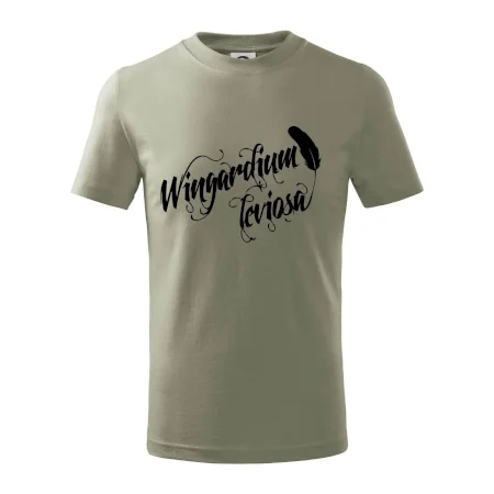 Harry - Wingardium Leviosa