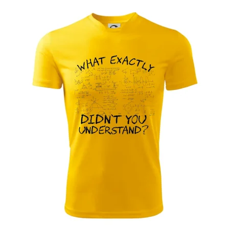What exactly didnt you understand - physics
