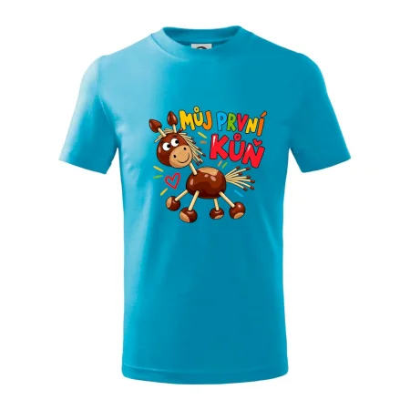 Můj první kaštanový koník