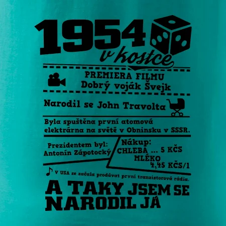1954 v kostce