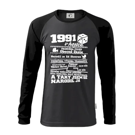 1991 v kostce