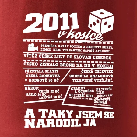 2011 v kostce