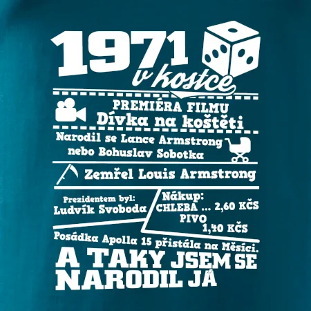 1971 v kostce