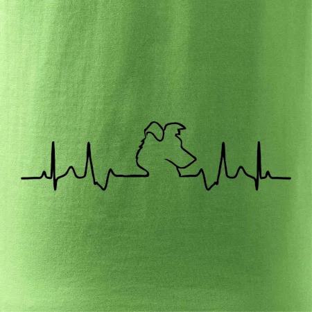 Border kolie EKG