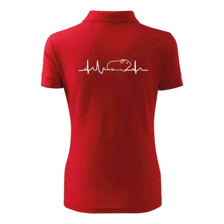 EKG morče