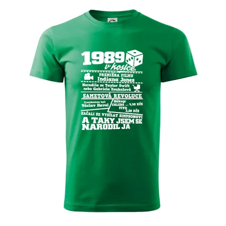 1989 v kostce
